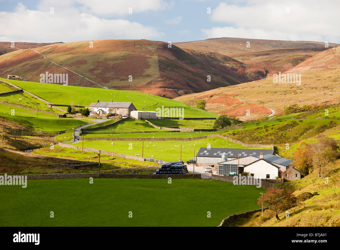 A remote hill farm in the Brennand Valley off the Dunsop Valley above Dunsop Bridge in the Trough of Bowland, Lancashire, UK. Stock Photo