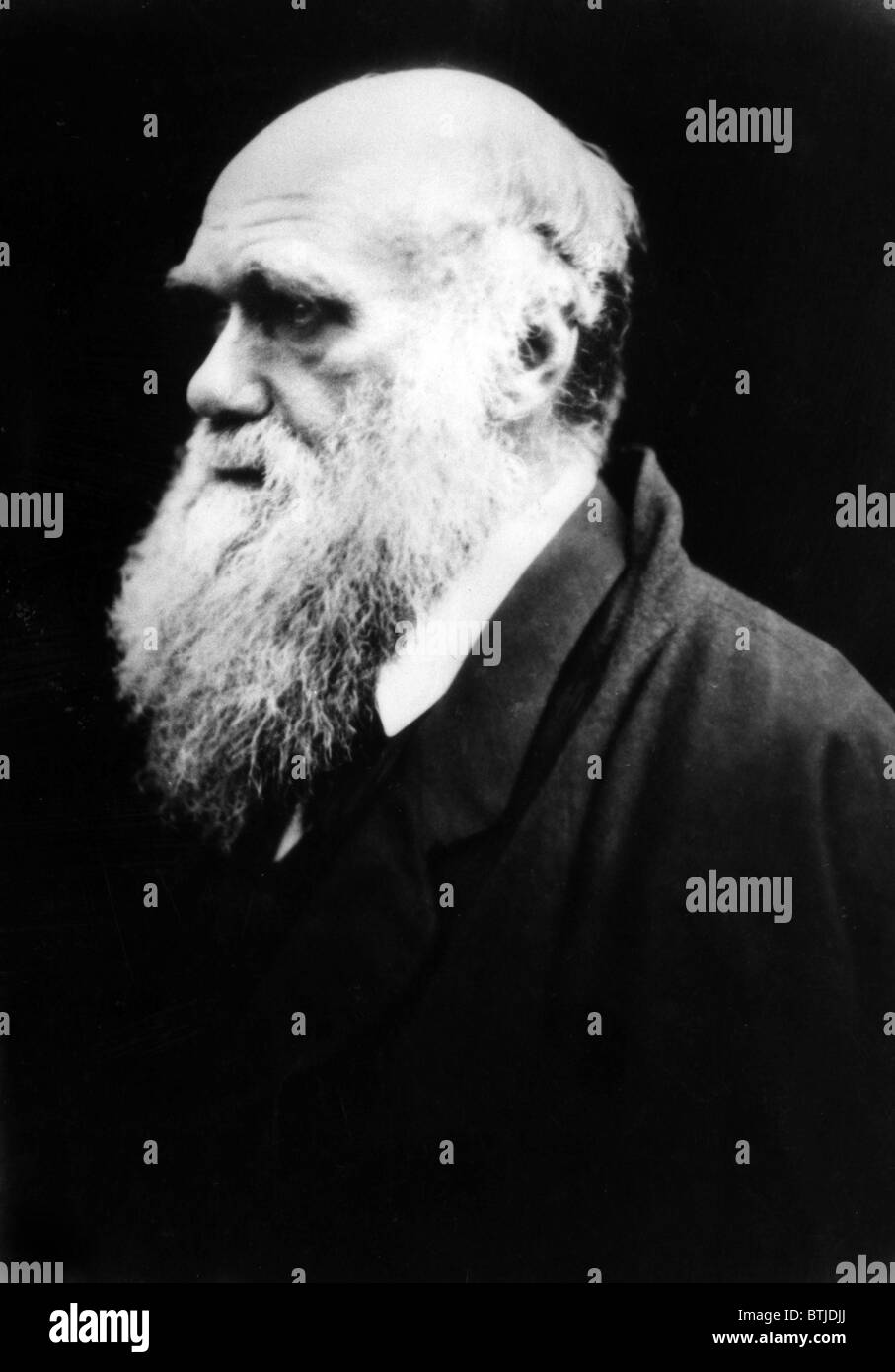 Charles darwin theory Black and White Stock Photos & Images Alamy