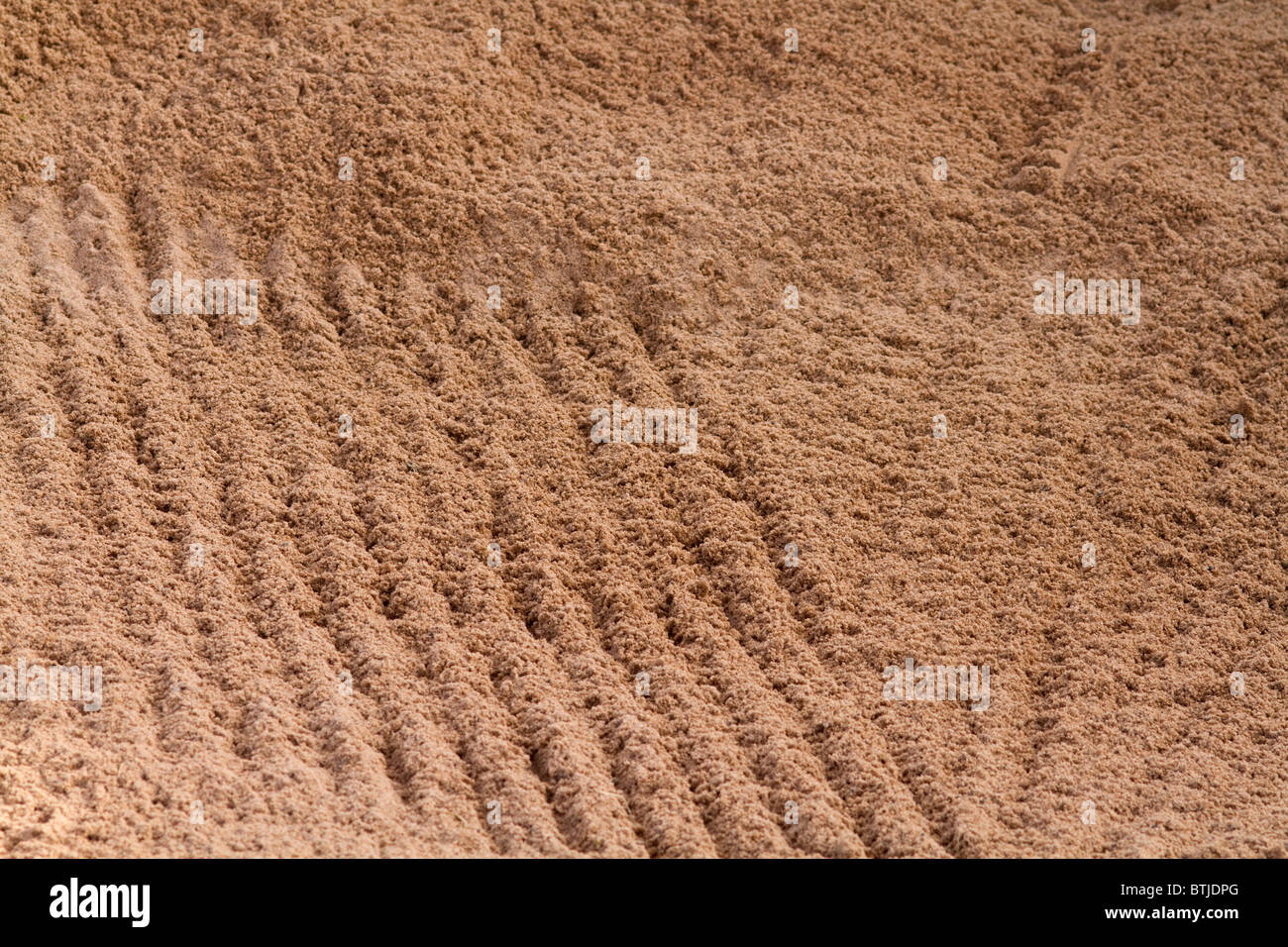 Sand Trap rake pattern in the sand Stock Photo Alamy