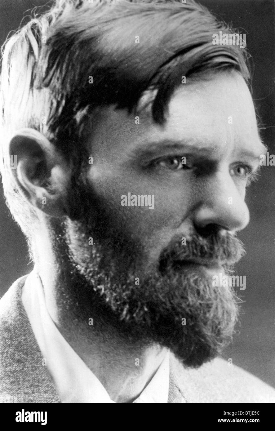 D.H. Lawrence Stock Photo