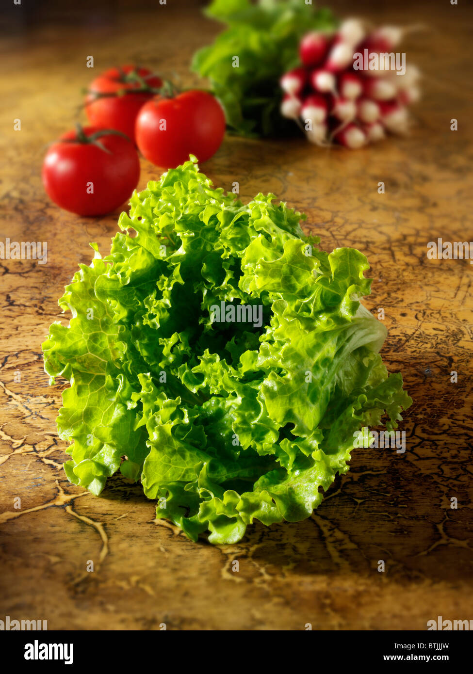 Fresh whole Batavia Lettuce Stock Photo