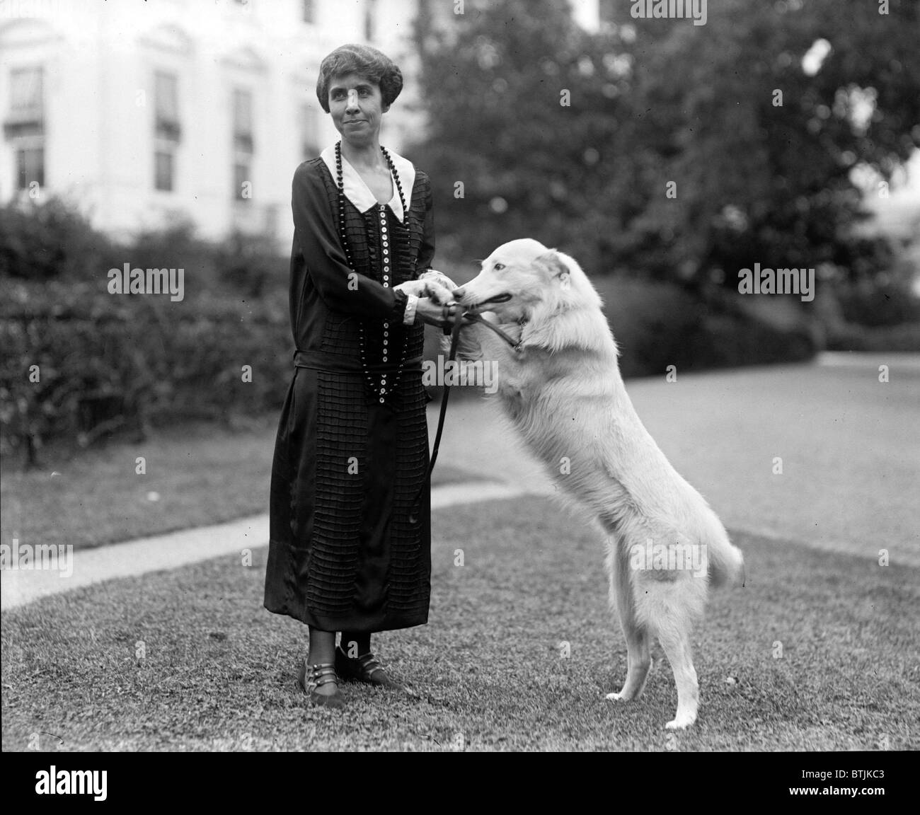 Grace coolidge dog hires stock photography and images Alamy
