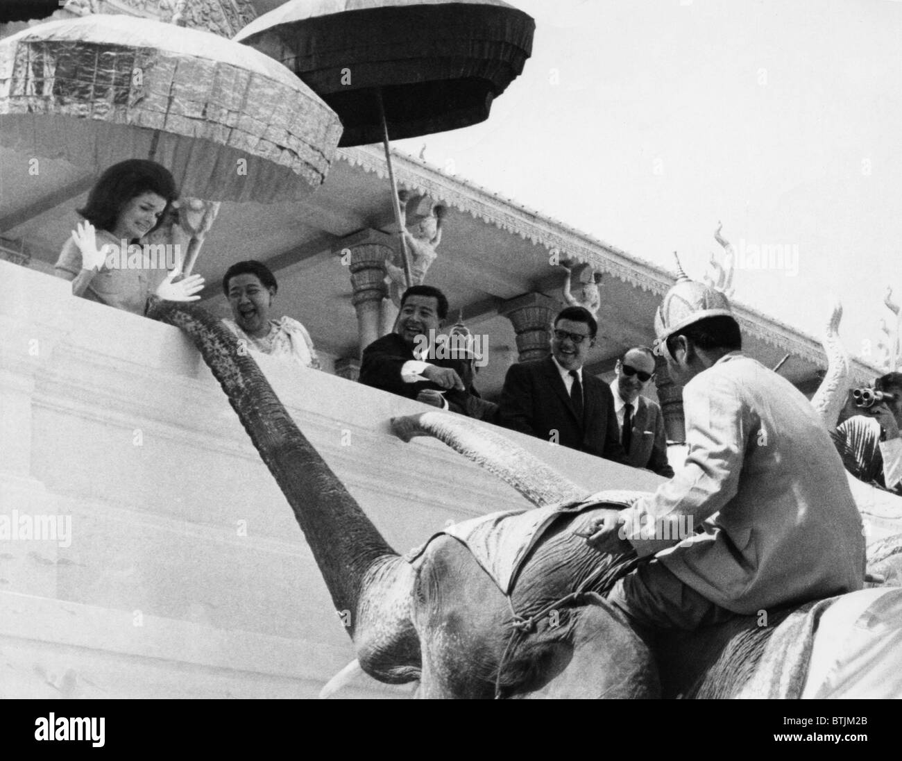 Jacqueline Kennedy (left) jumps in amazement as a royal elephant extends his trunk. Watching from left are Queen Mother Kossamak Stock Photo