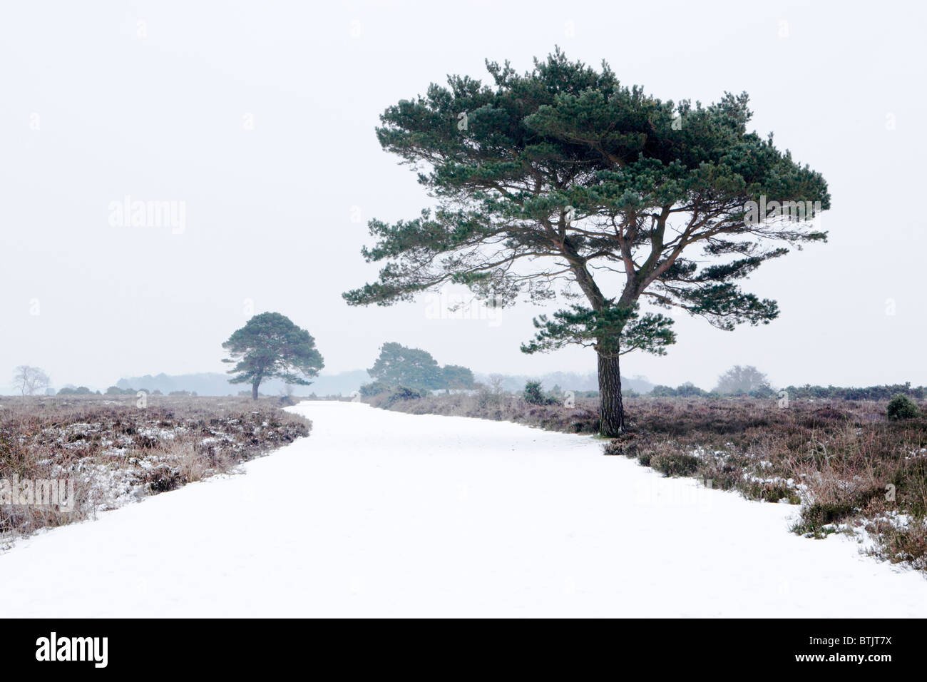 New england winter scene hi-res stock photography and images - Alamy