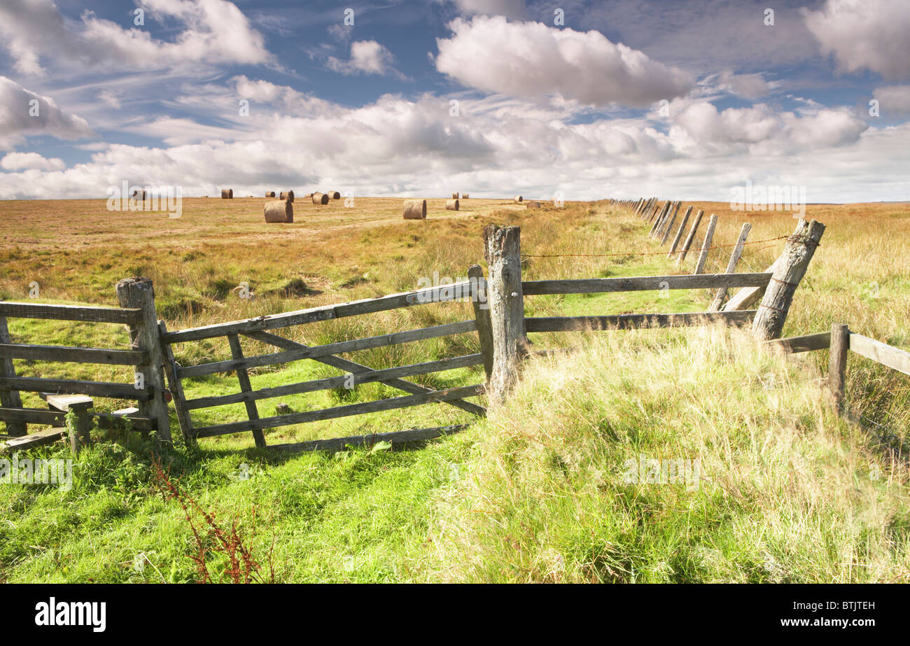 Gate and stile leading across Exmoor National Park moorland, Somerset, England, UK Stock Photo
