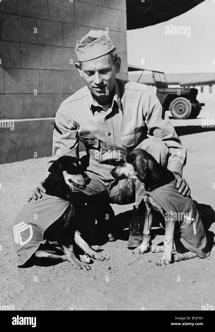 World War II, Private First Class Norman Diamond, gives a congratulatory pat to Staff Sergeant Basic and Private First Class Adler, have just received promotions under authority of DL (Dog Land) regulation 0000-900. They are mascots of a U.S. Signal Service in India, circa 1942. Stock Photo