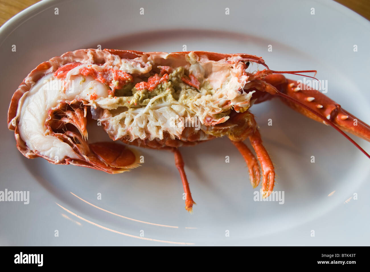 Freshly caught, cooked and ready to eat female Lobster from the north west coast of Sweden, near the town of Grebbestad Stock Photo