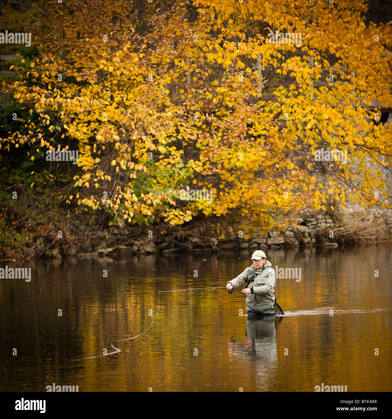 Autumn afternoon - a fisherman fly fishing for trout in the River Wye at Builth Wells , Powys Wales UK Stock Photo