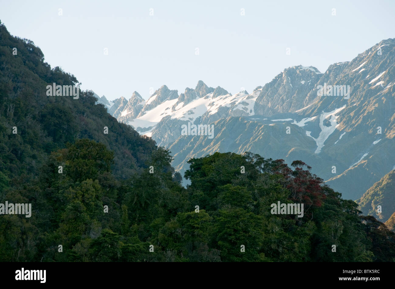 Franz Josef,Town,Snow Capped Peaks of Southern Alps, Rata Trees in