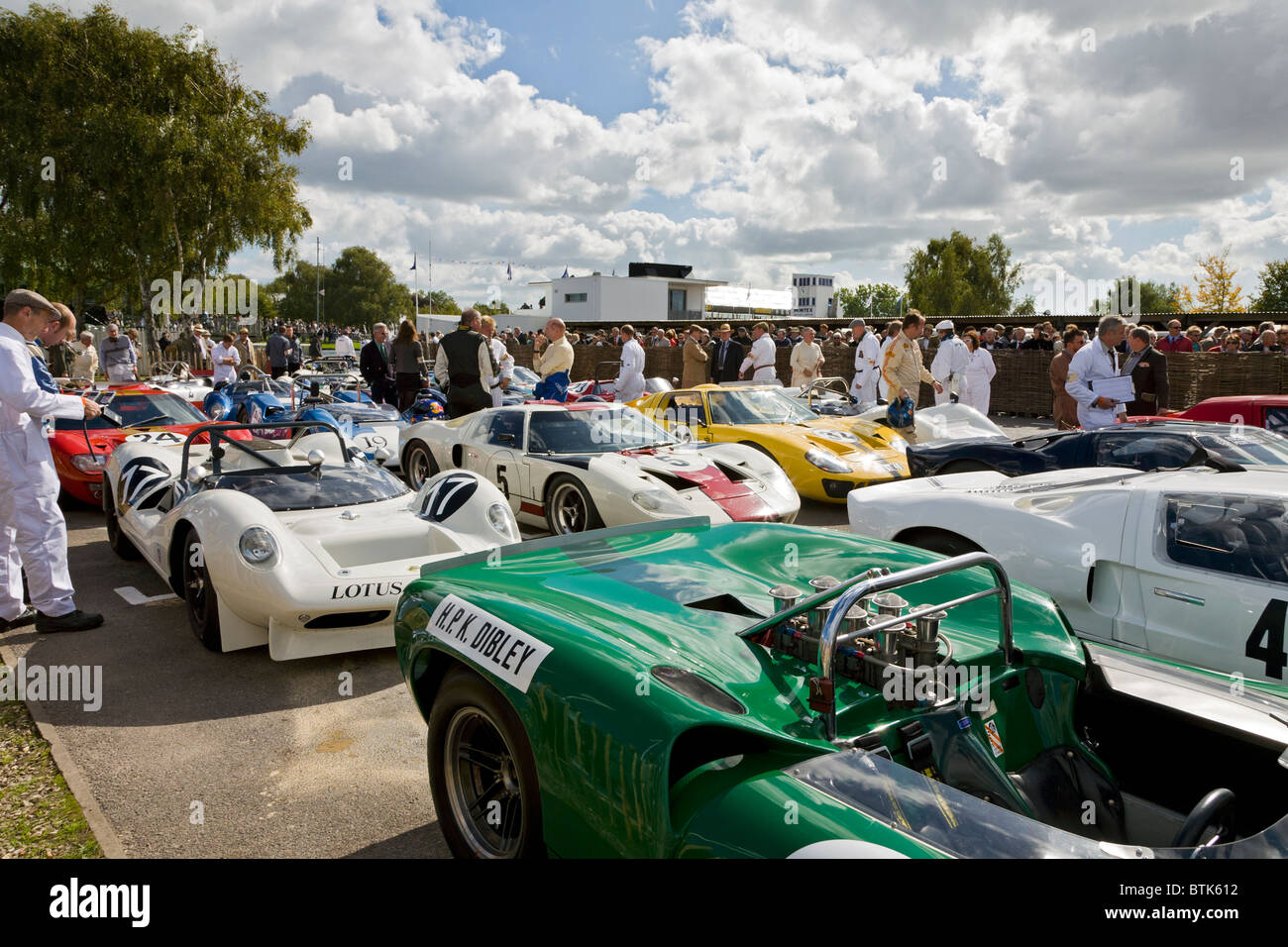Competitor cars from the 2010 Goodwood Revival Whitsun Trophy race ...