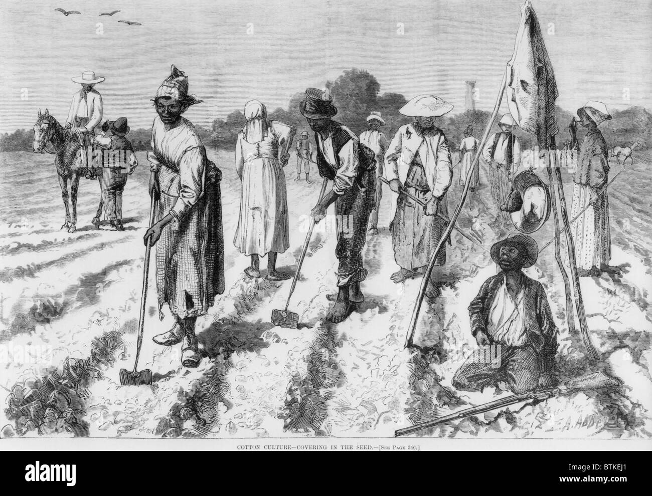 Ex-slaves, working in a gang on a cotton plantation with a nearby overseer in 1875, ten years after emancipation. Many ex-slaves preferred the relative independence of share cropping to gang labor, 1897. Stock Photo