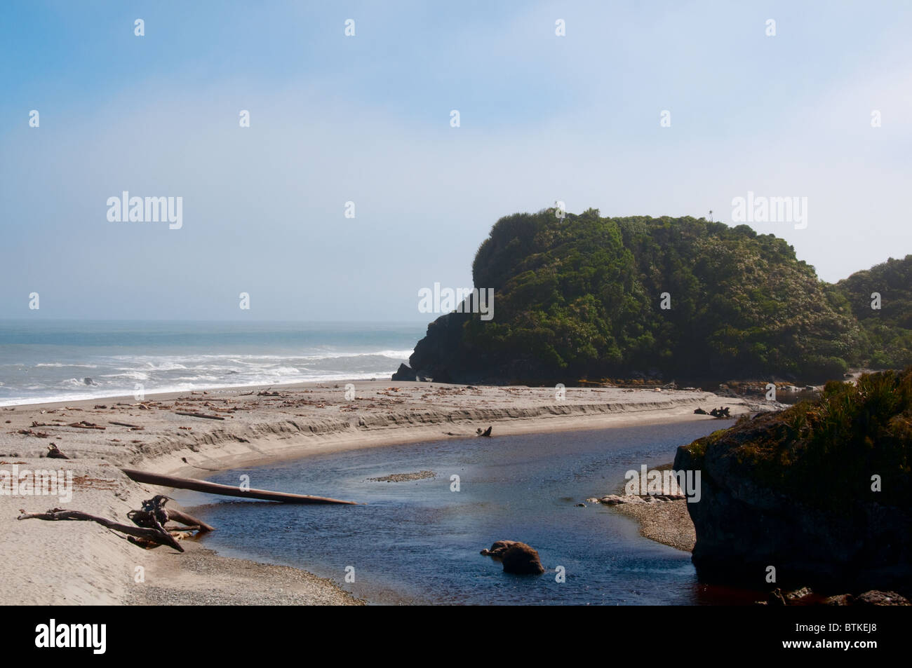 Ship Creek ,Kahikatea Rain Forest ,Rimu,Wetland, Forest, Beach,Tower ...