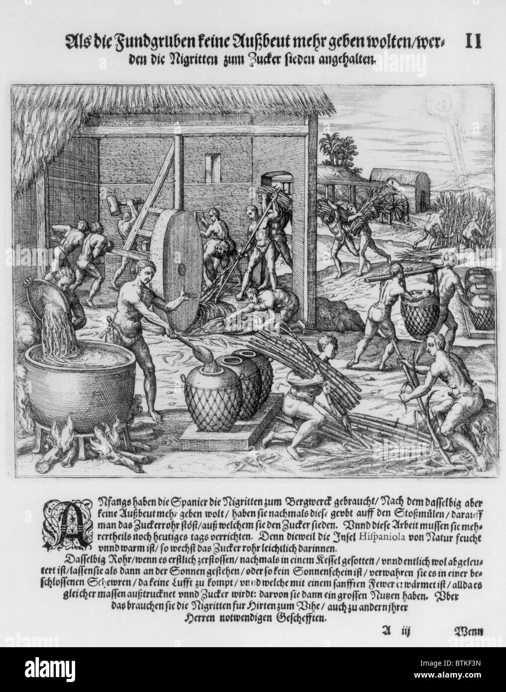 African slaves processing sugar cane on Hispaniola. 1595 engraving by Theodor de Bry show harvesting the cane, a slave powered grinding mill, and boiling cane juice. Stock Photo