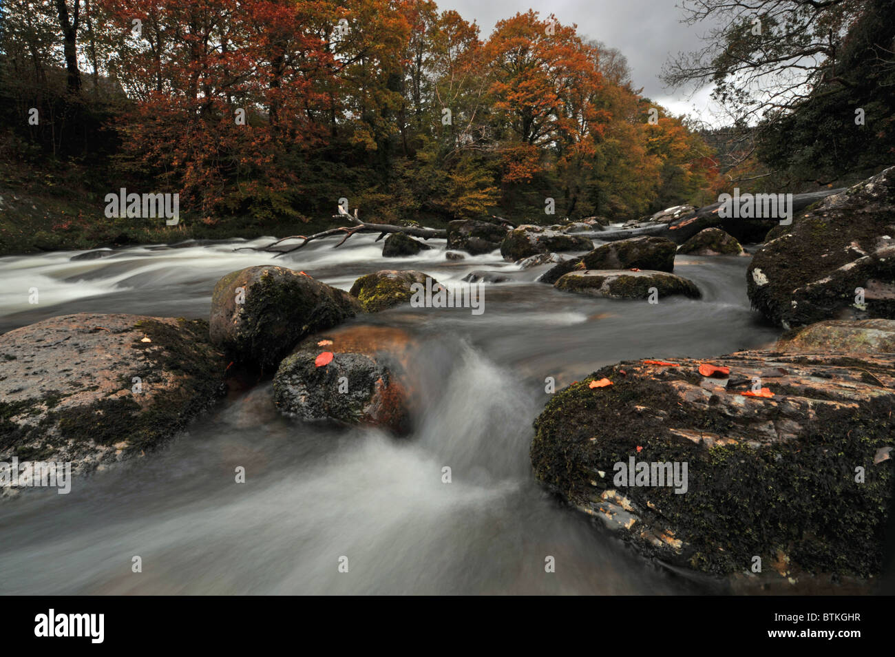 Woodland and river landscape hi-res stock photography and images - Alamy