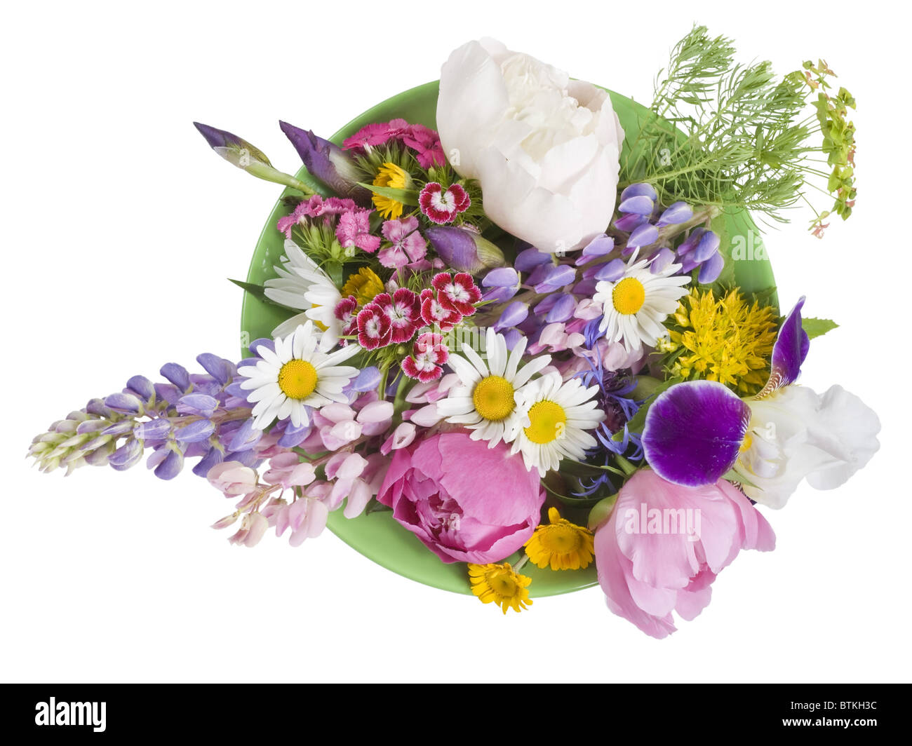 Green plate with June flowers Stock Photo