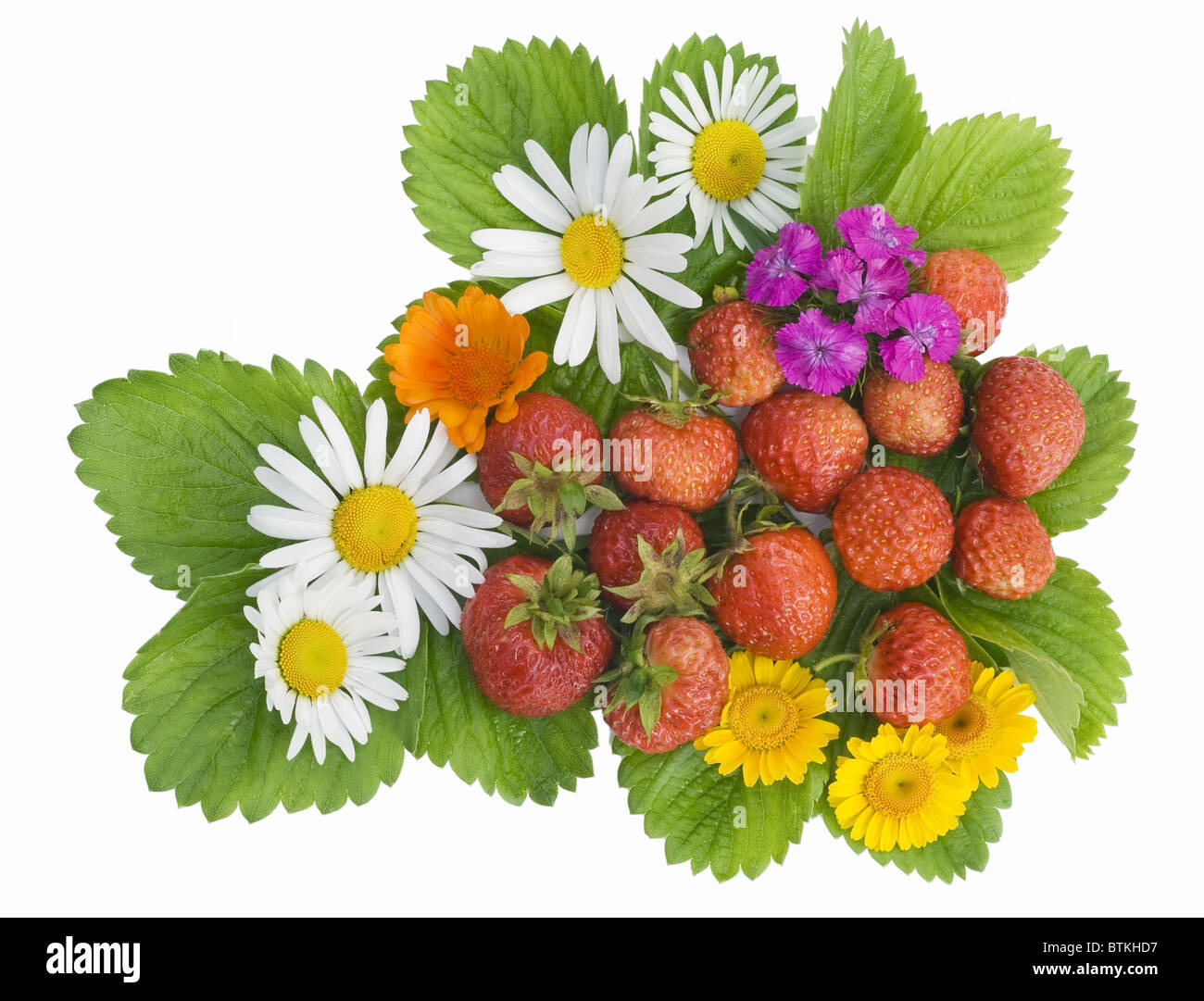 Garden strawberry and flowers mix Stock Photo