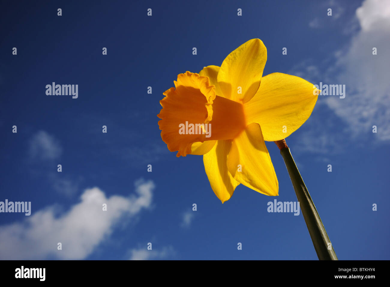 Spring is in the air! Stock Photo - Alamy