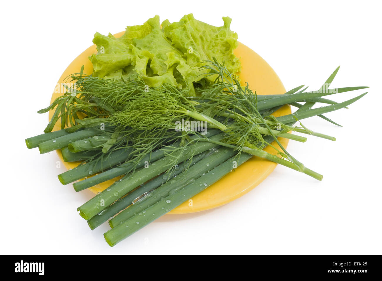 Green onions, salad and fennel Stock Photo