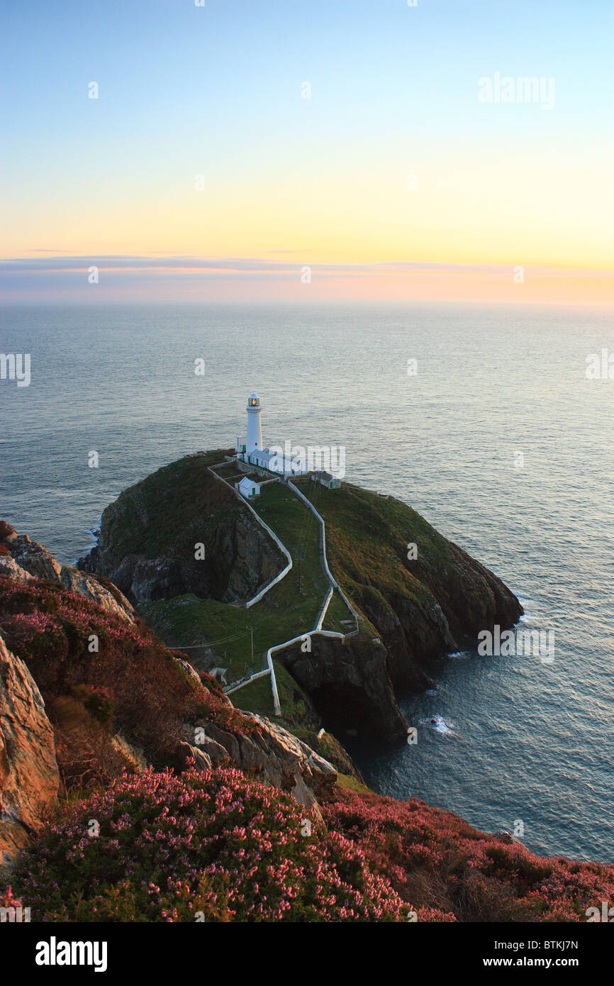 South Stack In North Wales Stock Photo - Alamy