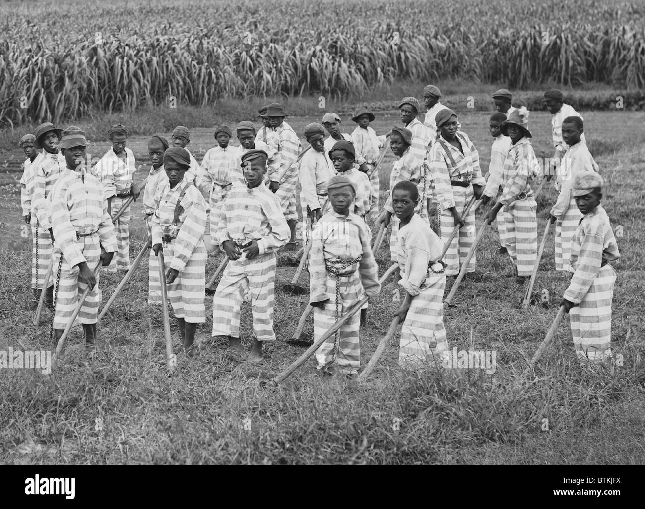 Juvenile convicts at work in the fields in s Southern chain gang. Southern jails made money leasing convicts for forced labor in the Jim Crow South. Circa. 1903 Stock Photo