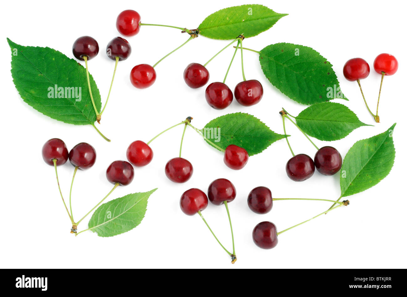 Close up cherry tree ripe Cut Out Stock Images & Pictures - Alamy