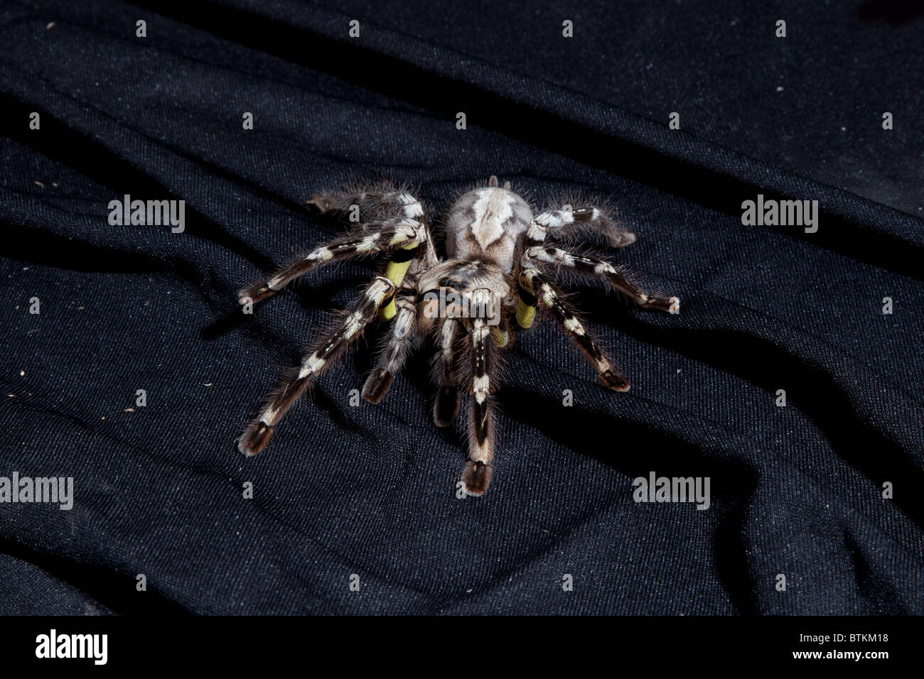 Joshua Keyser (@splinterednails) • Instagram photos and videos, image size:1300x956