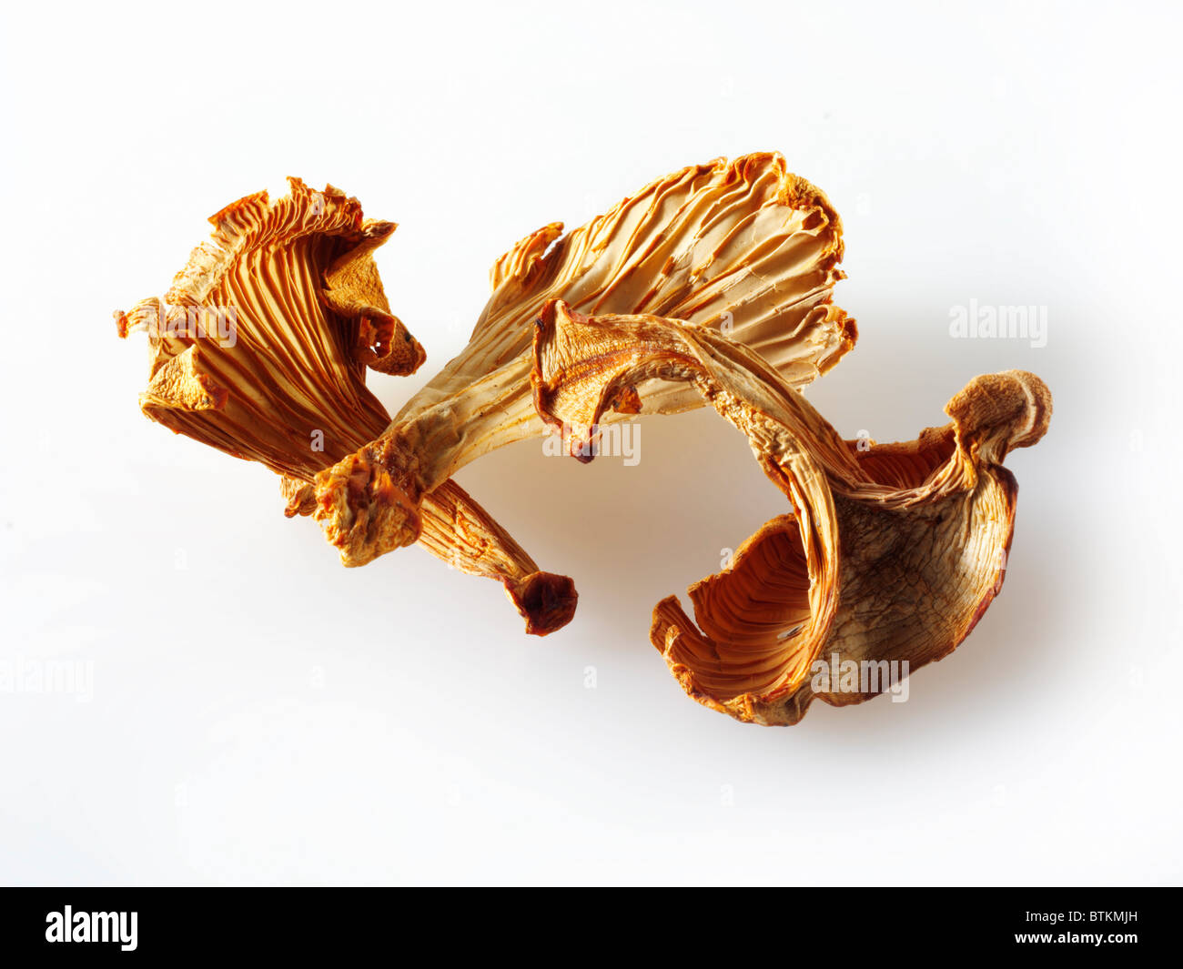 Dried mushrooms hires stock photography and images Alamy