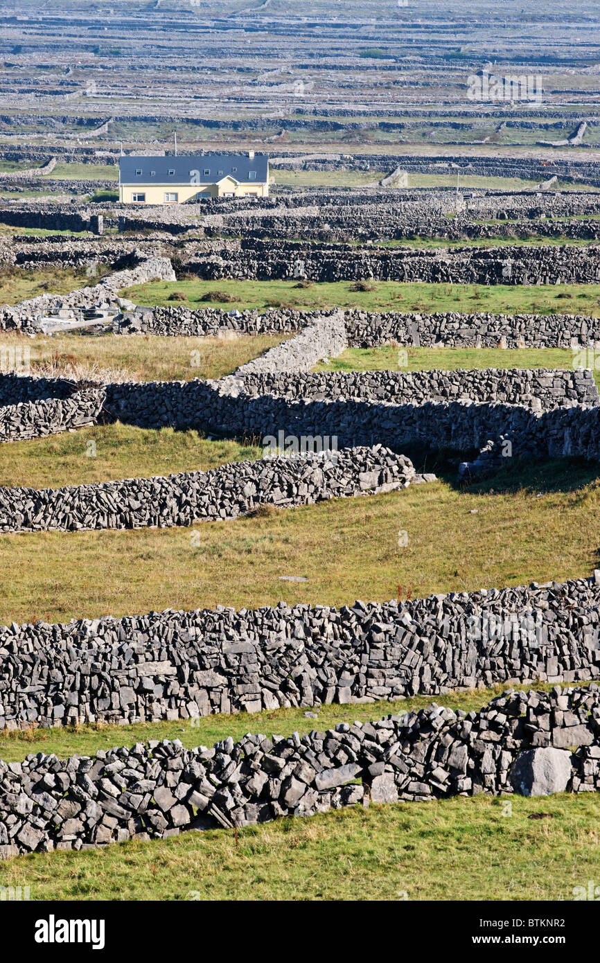 The dry-stone walls and fields of Inishmore, Aran Islands, County Galway, Connaught, Ireland. With one house. Near Oatquarter. Stock Photo