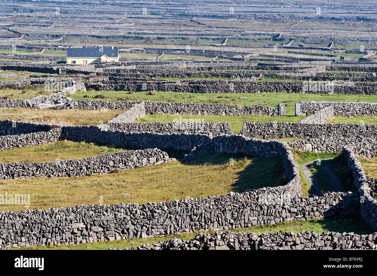 The dry-stone walls and fields of Inishmore, Aran Islands, County Galway, Connaught, Ireland. With one house.  Near Oatquarter. Stock Photo