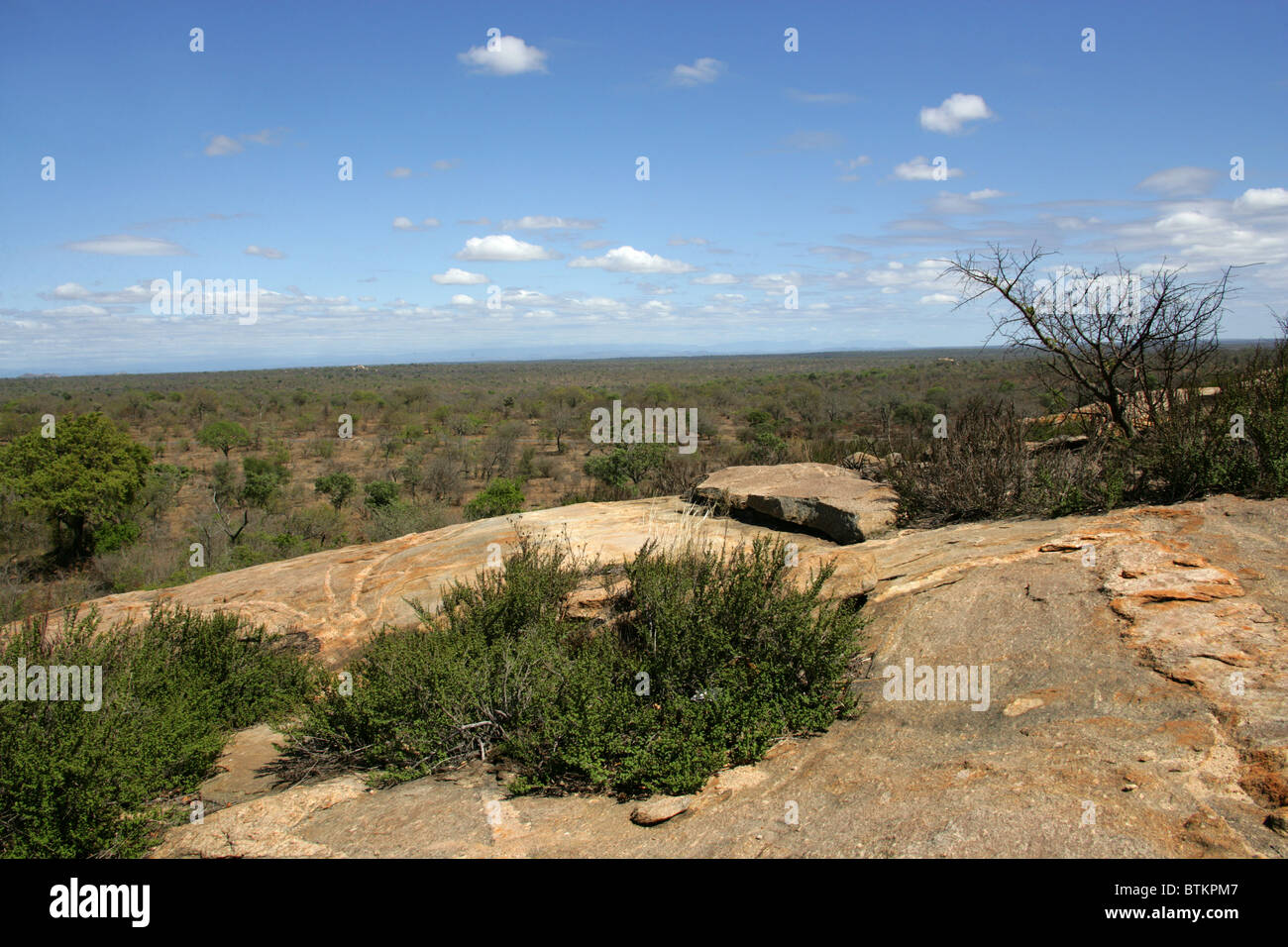 View Over Kruger National Park, Mpumalanga, South Africa. Stock Photo