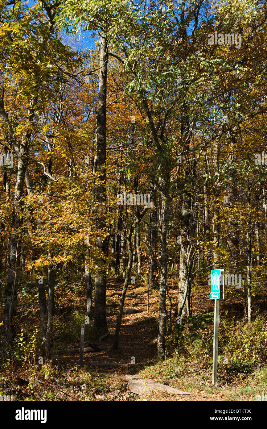 The Appalachian Trail at Hog Pen Gap on Richard Russell Scenic Highway (348), Chattahoochee National Forest, North Georgia, USA Stock Photo