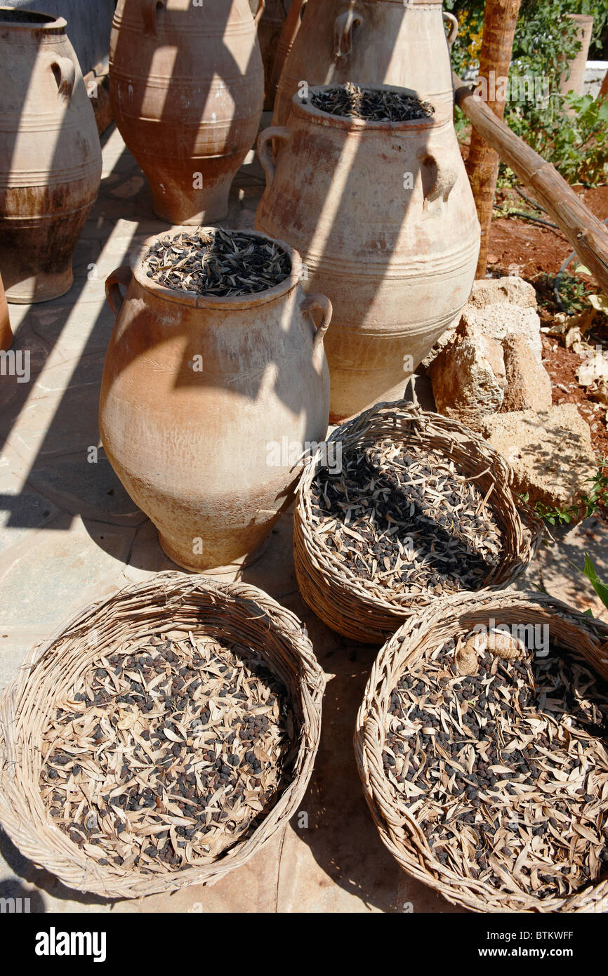 Salted and dried olives stored in jars and baskets at an olive farm. Crete, Greece Stock Photo