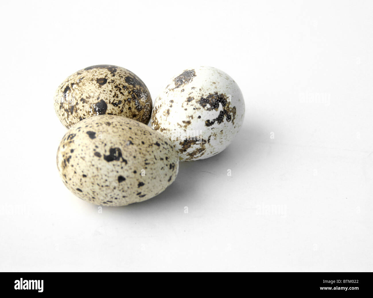 Three eggs isolated on a plain white background Stock Photo - Alamy