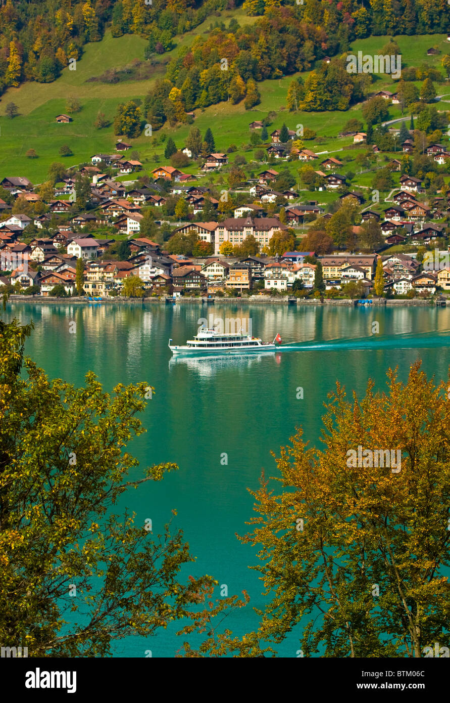 Alpine wildlife park interlaken hi-res stock photography and images - Alamy