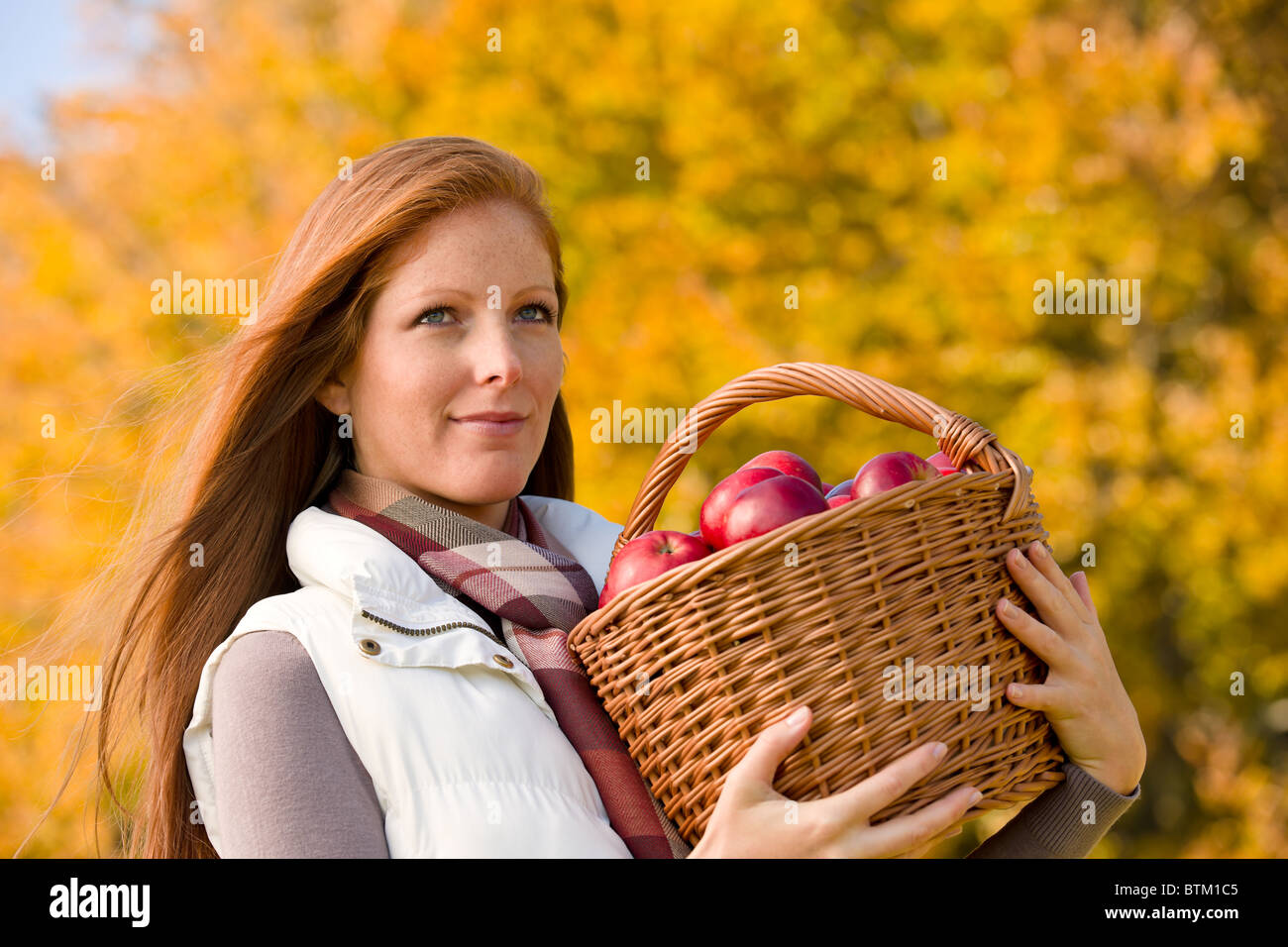 Autumn country - woman with wicker basket harvesting apple Stock Photo