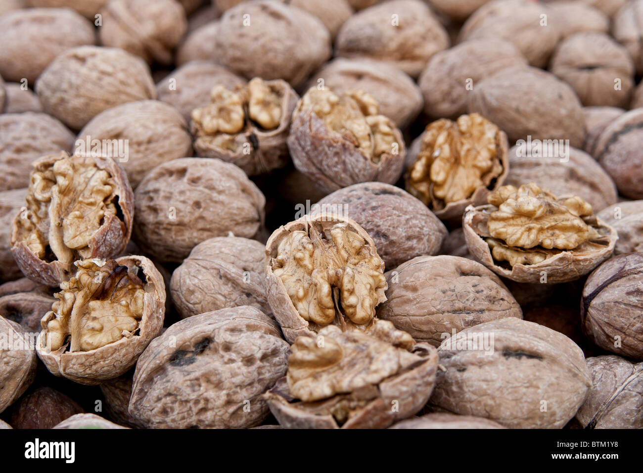 Brown raw walnuts Stock Photo Alamy