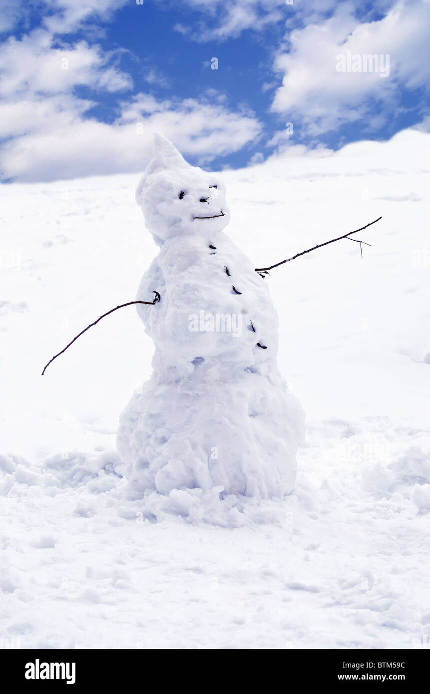 Funny snowman, blue tinted Stock Photo