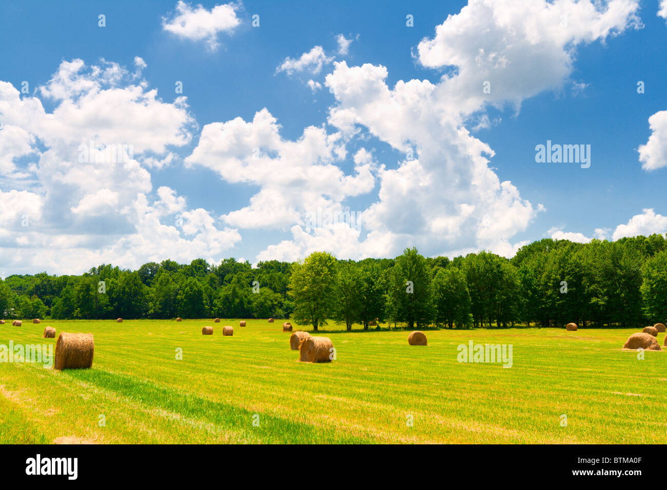 Hay bales in a green field with cloudy skies Stock Photo