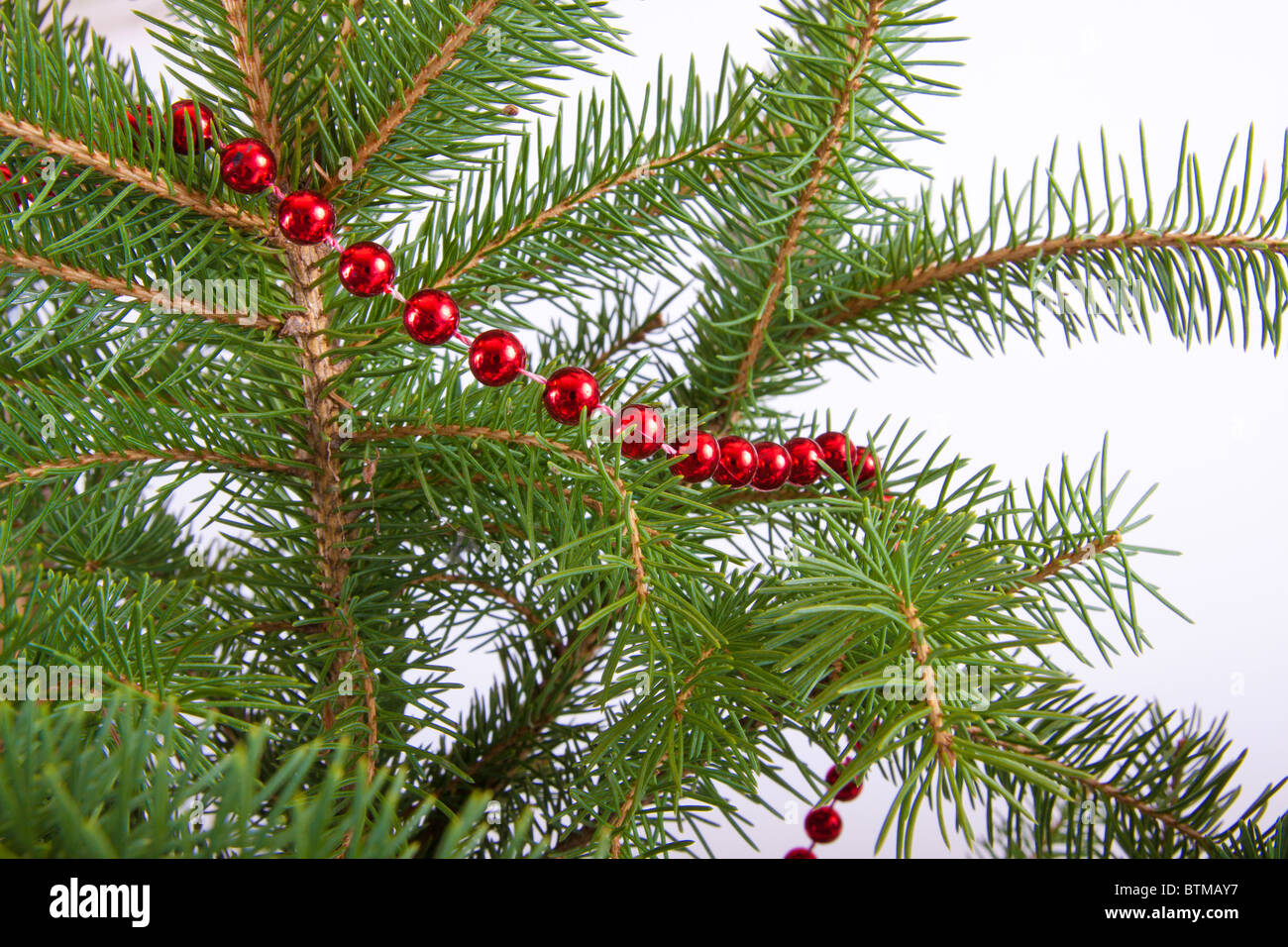 red garland draped on christmas tree Stock Photo - Alamy