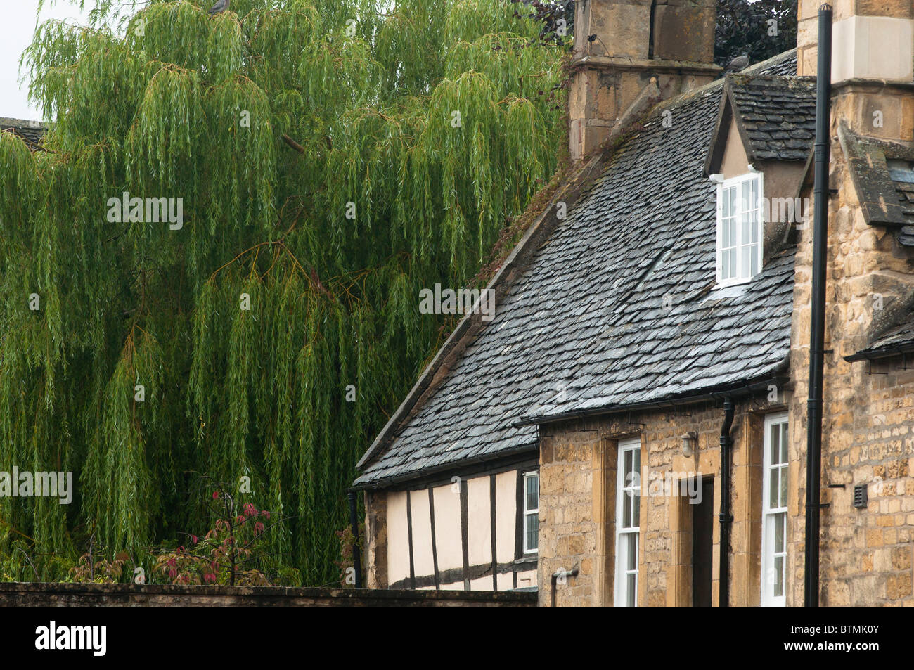 Character Cottages Next To A Weeping Willow In Chipping Camden In