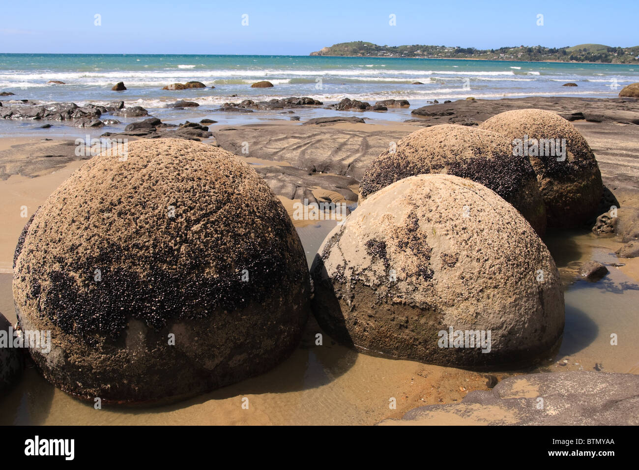 Famous Moeraki boulders on beach, New Zealand Stock Photo