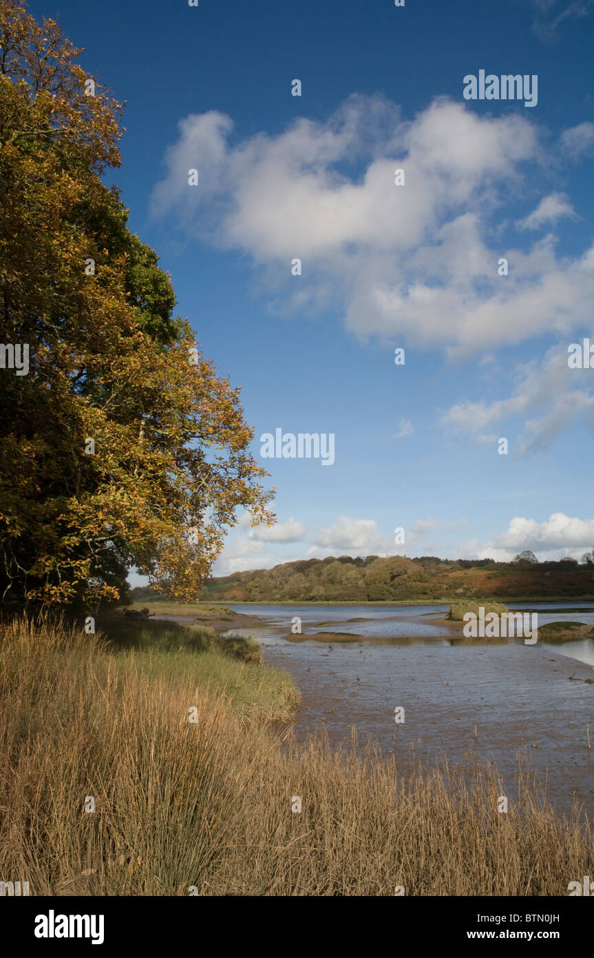 Little Milford, Cleddau Estuary, Pembrokeshire, Wales, UK, Europe Stock