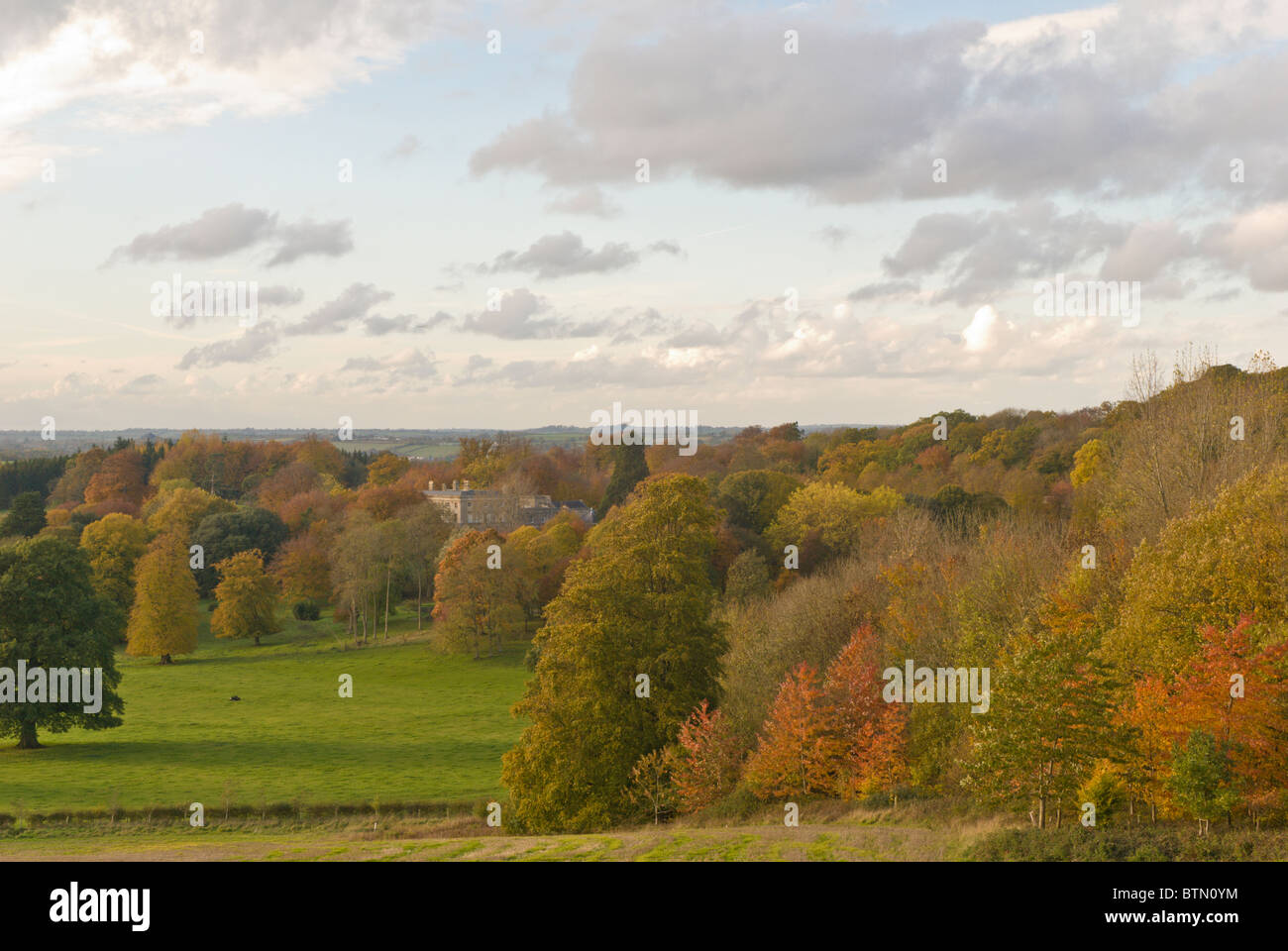 Trees in autumn Stock Photo - Alamy