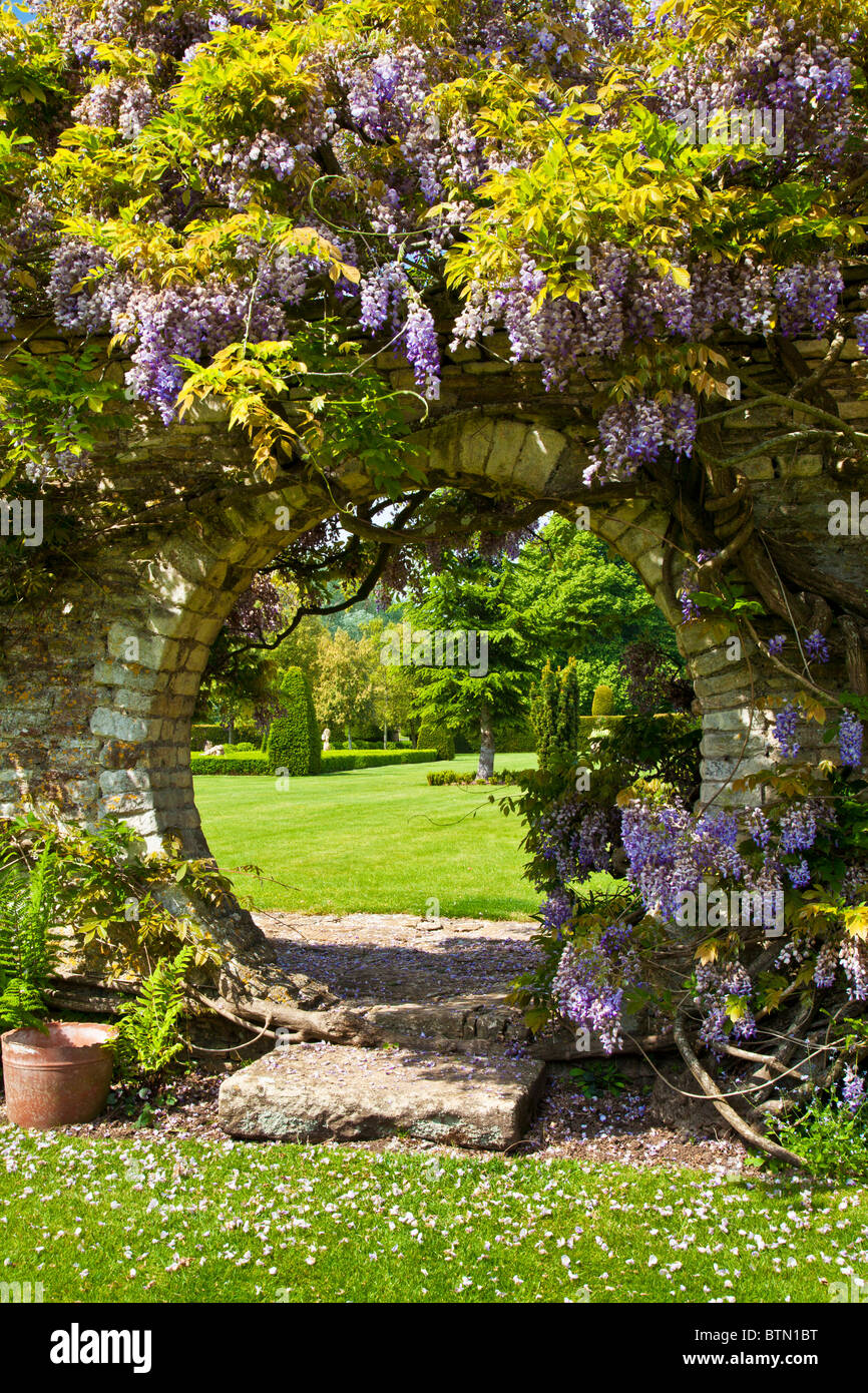 Wisteria growing over a circular opening in a garden wall with a view through to the lawn beyond. Stock Photo