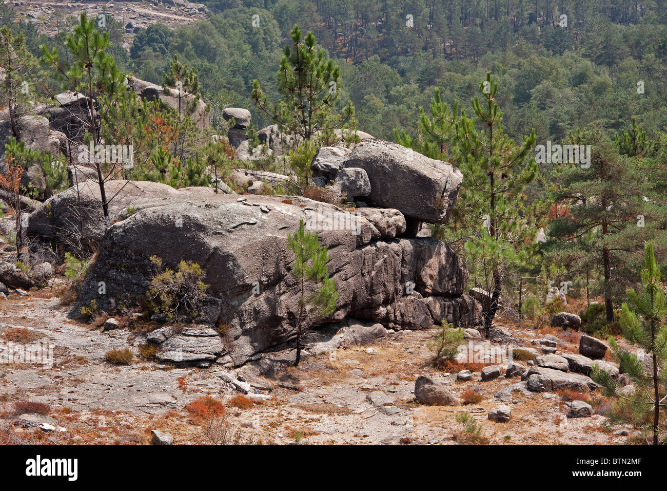Rocks on Serra do Gerês in Portugal that looks like the Aibo Dog product from Sony. Stock Photo