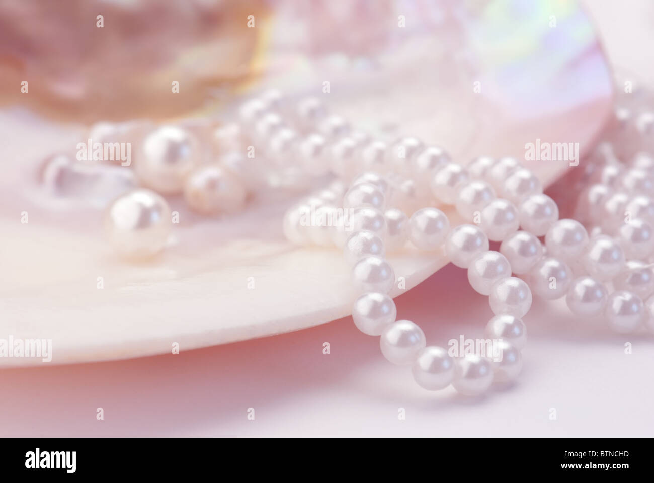 Macro of pearls and necklace in an oyster shell. Pink tinted image Stock Photo