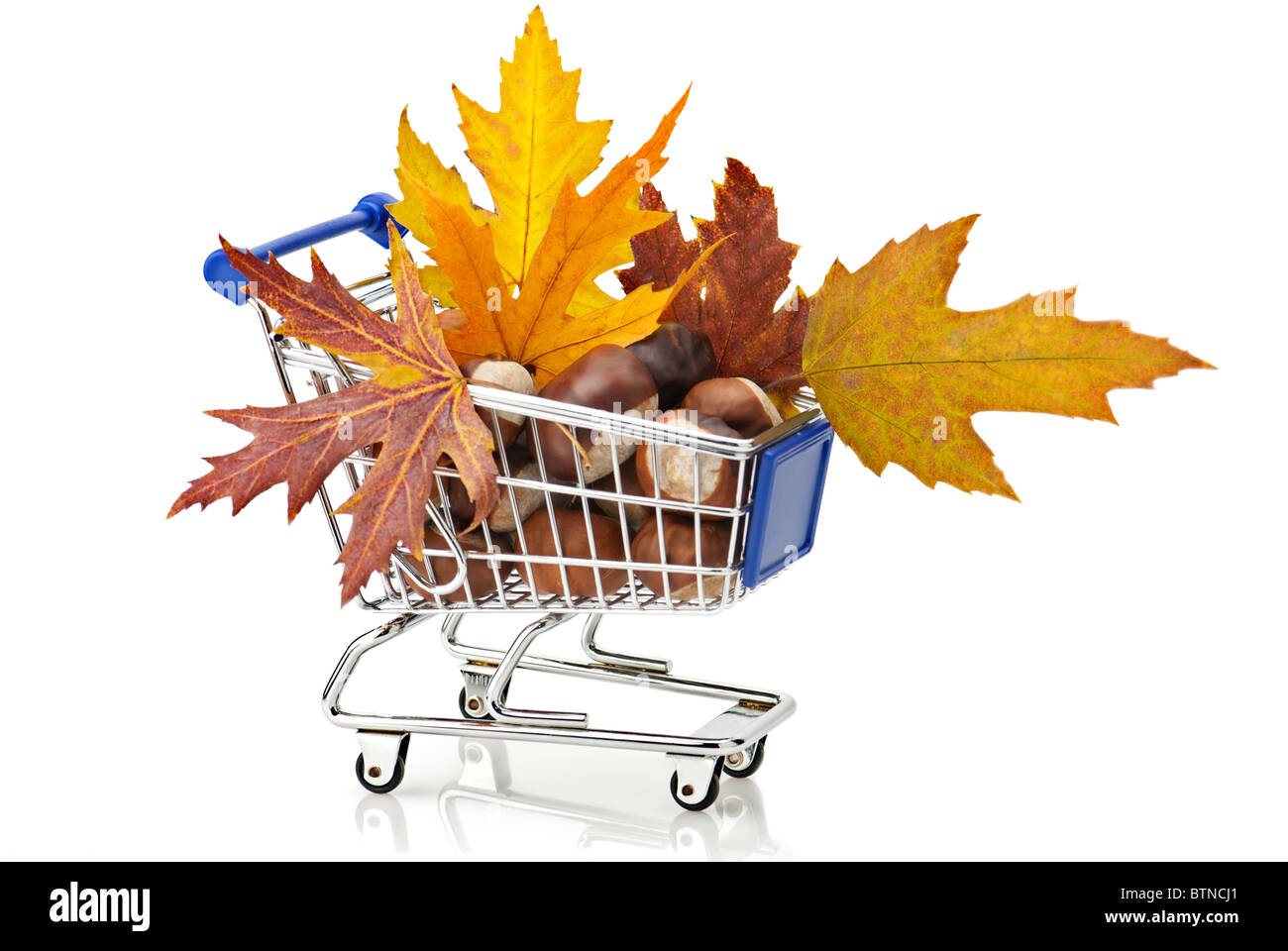 Autumn Shopping: shopping cart full of chestnuts and autumn maple leaves Stock Photo