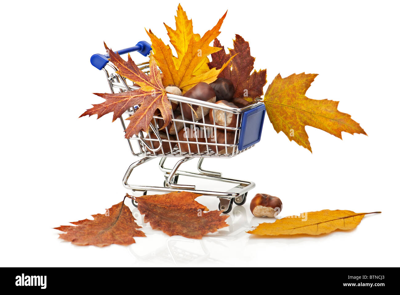 Autumn Shopping Stock Photo
