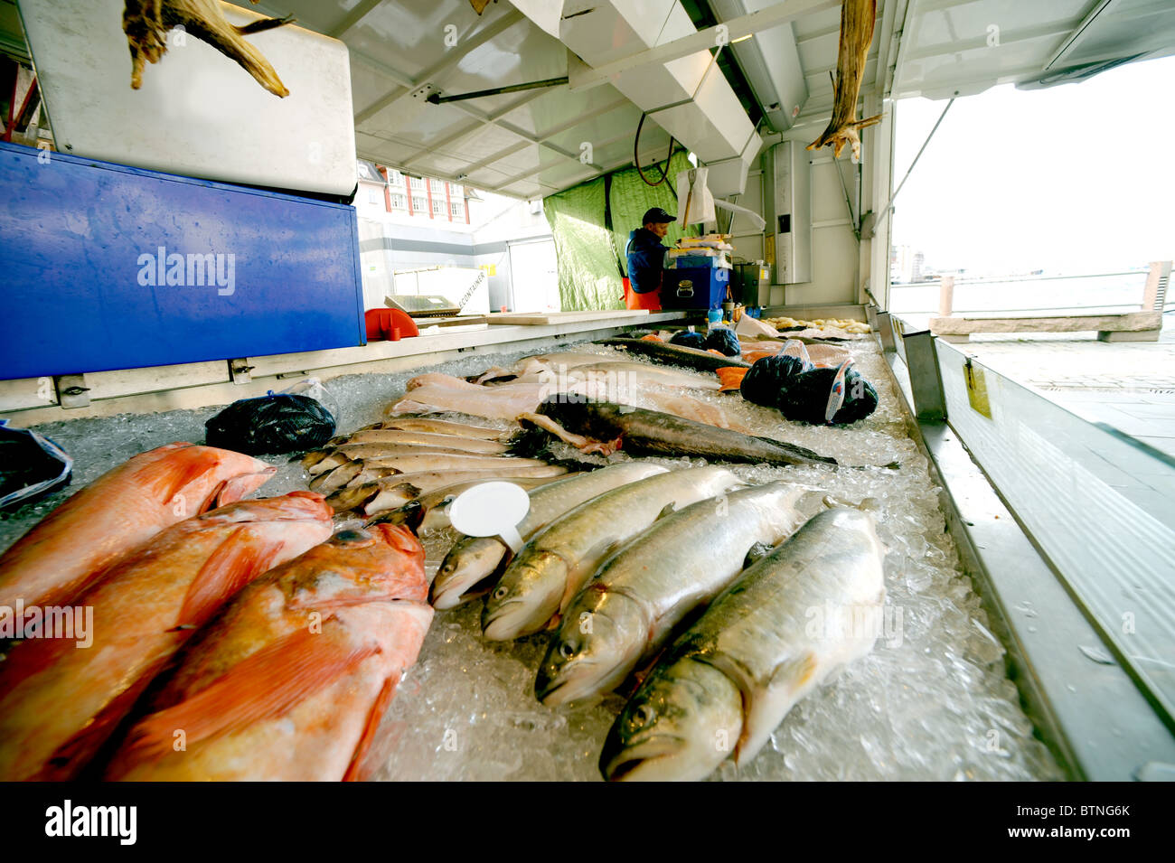 Fish market in Bergen, Norway Stock Photo Alamy