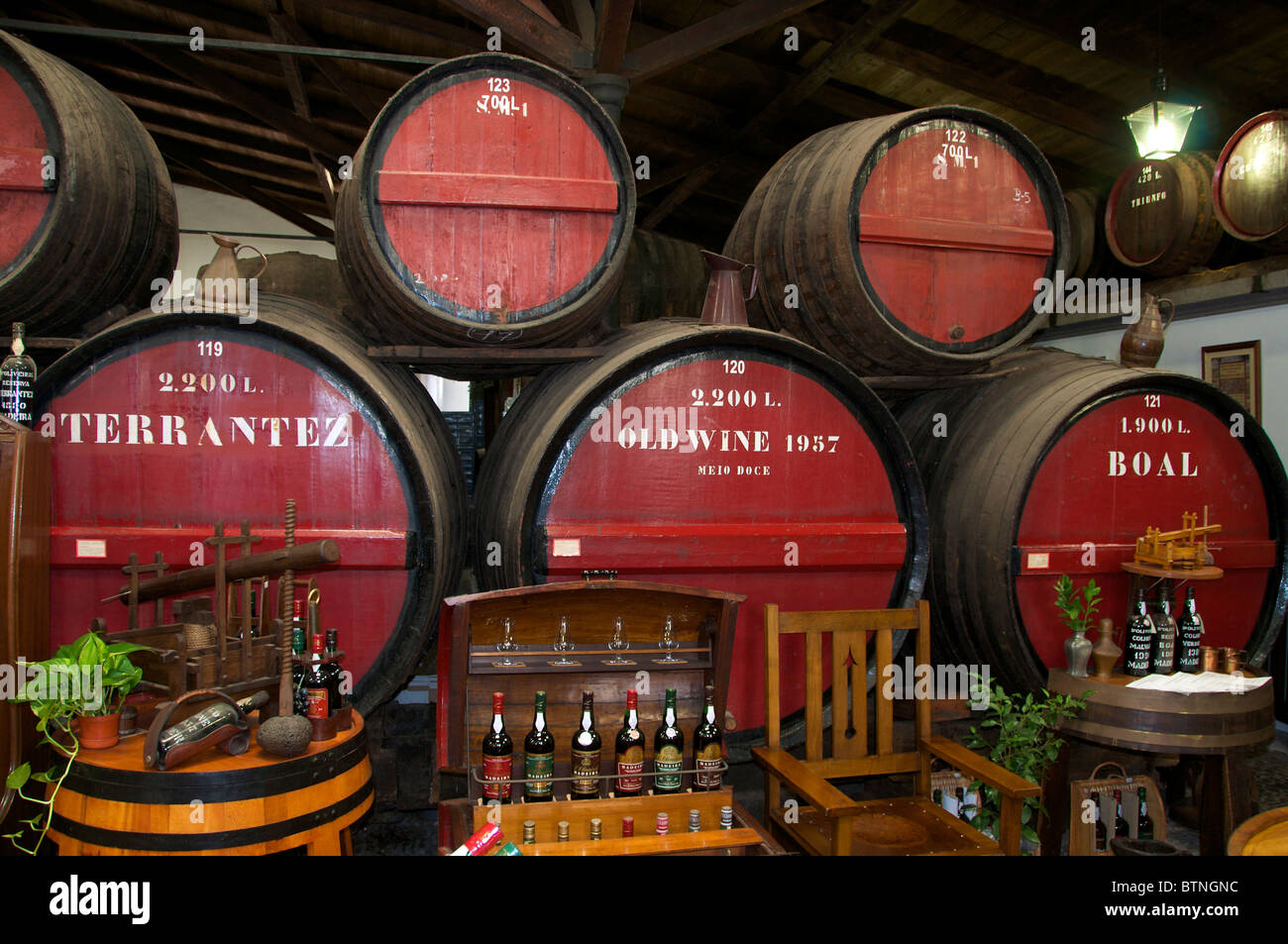 Madeira barrels wine museum warehouse Funchal Madeira Portugal Stock Photo